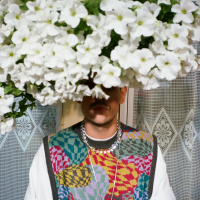 Gelato | Makarena Freestyle (Single)