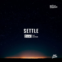 Settle (Single)