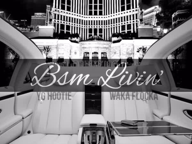 BSM Livin' (Single)