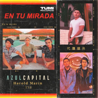 En Tu Mirada (Single)
