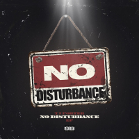 No Disturbance (Single)