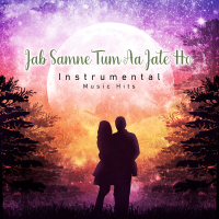 Jab Samne Tum Aa Jate Ho (Instrumental Music Hits) (Single)