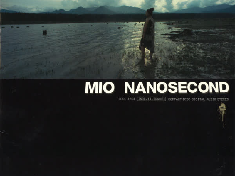 NANOSECOND