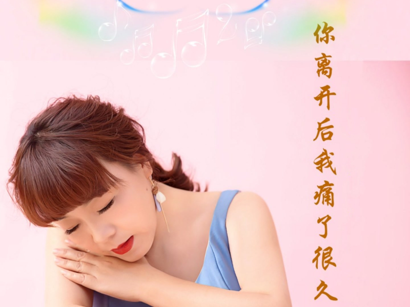 你离开后我痛了很久 (Single)