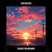 Search for Meaning (Single)