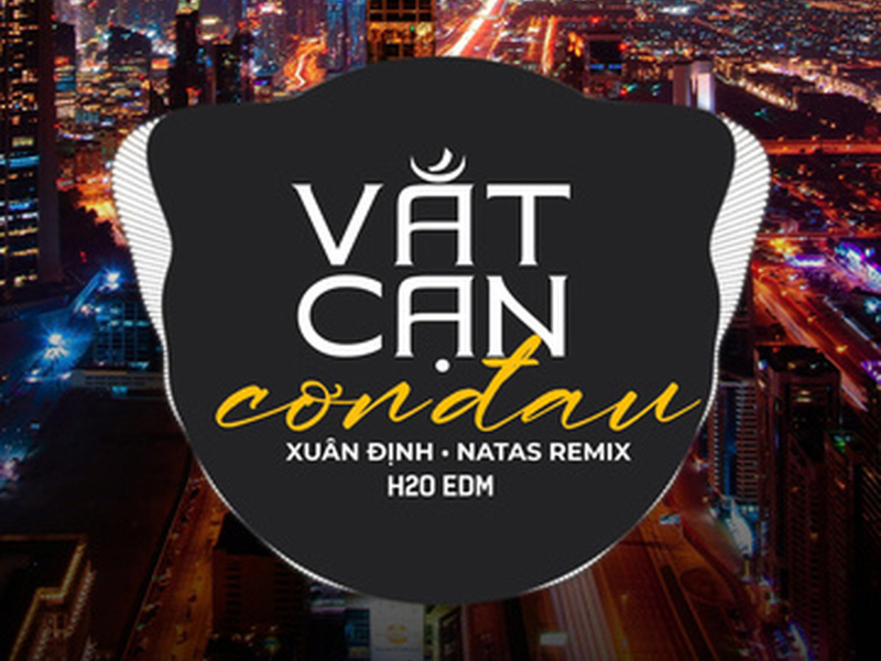 Vắt Cạn Cơn Đau (EDM) (Single)