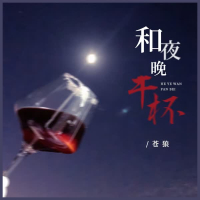和夜晚干杯 (Dj浩然版) (Single)