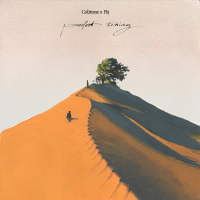 Perfect Timing (Single)