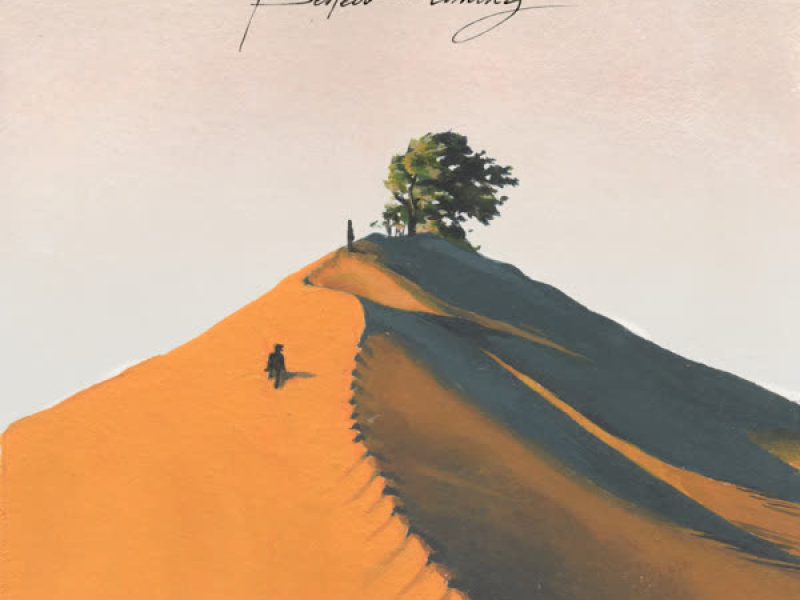 Perfect Timing (Single)