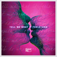 Tell Me What It Feels Like (Single)