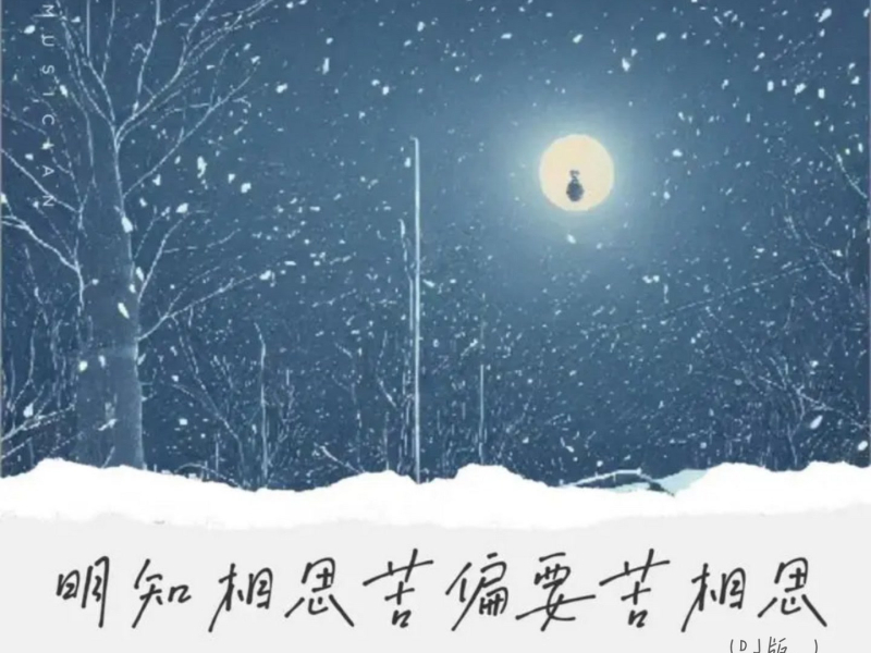 明知相思苦偏要苦相思 (DJ版) (Single)