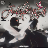 Feel like a birds (Single)