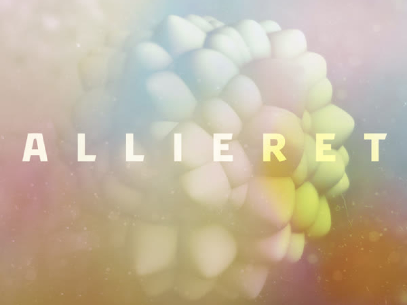 Allieret (Single)