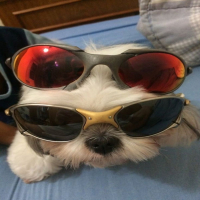 Beat Assombrado de Sp (Single)