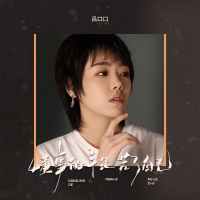 懂事的年纪苦了自己 (Single)