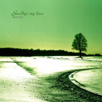 Goodbye My Love (Single)