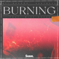 Burning (Single)