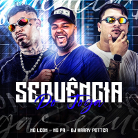 SEQUÊNCIA DO JOGA (Single)