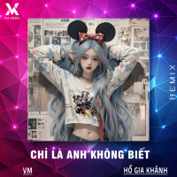 Chỉ Là Anh Không Biết (Đông Remix) (Single)