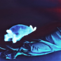 Higher (Prozak Remix) (EP)