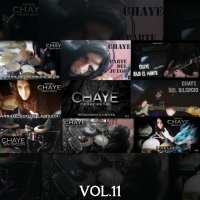 Vol. 11 (Single)