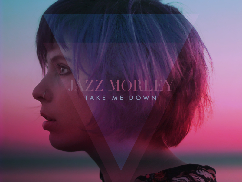 Take Me Down (Single)