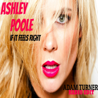 If It Feels Right (Adam Turner Radio Edit)
