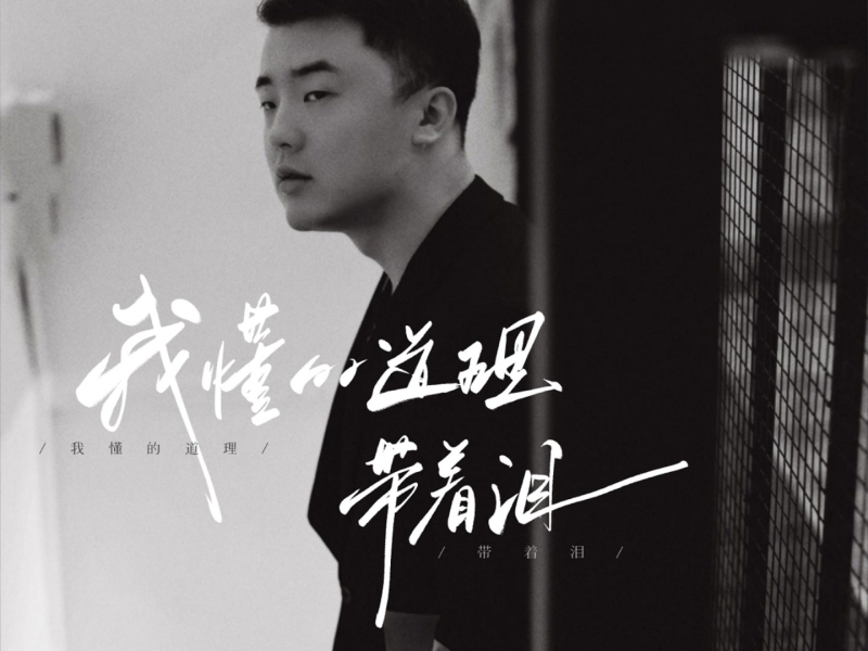 我懂的道理带着泪 (沧桑版) (Single)