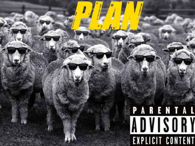 Plan (Single)