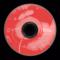 No Go Zone (Remix) (Single)