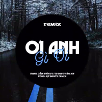Ơi Cái Anh Gì Ơi (QT Beatz Remix) (Single)