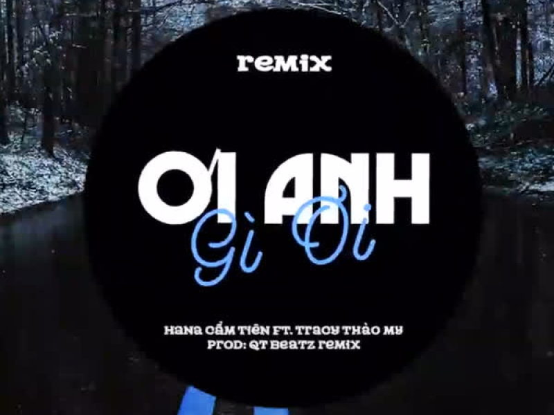 Ơi Cái Anh Gì Ơi (QT Beatz Remix) (Single)