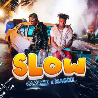 Slow (Single)