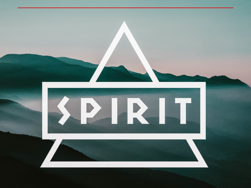 Pseudodipter (Single)