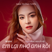 Em Lại Nhớ Anh Rồi (Remix) (Single)