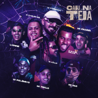 Caiu na Teia (Single)