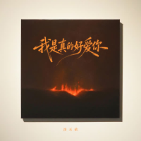 我是真的好想你 (Single)