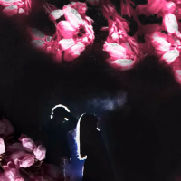 Save Money, Save Me Now (Single)