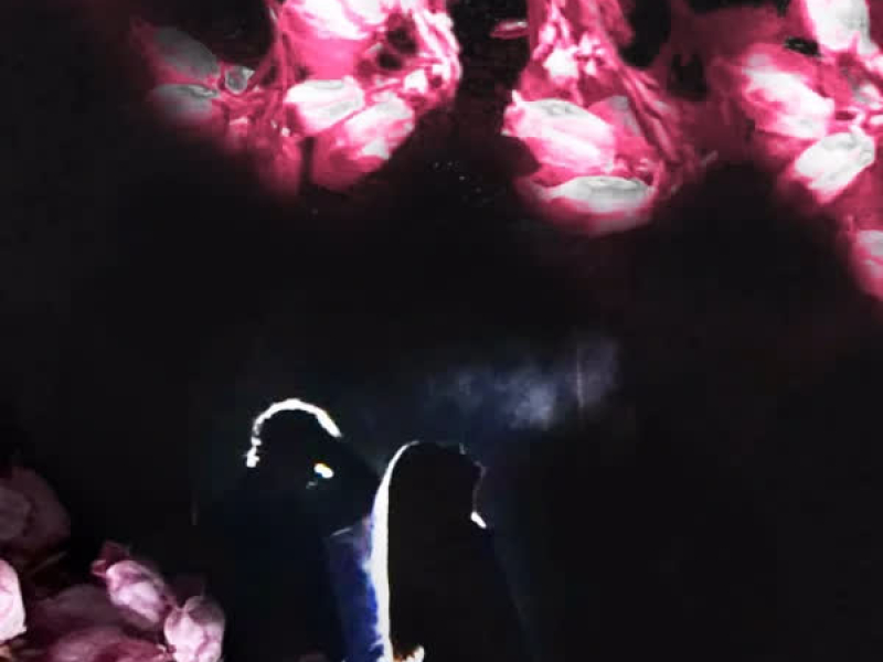 Save Money, Save Me Now (Single)