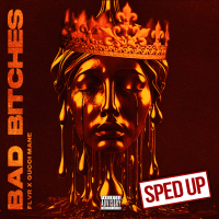 Bad Bitches (Sped Up) (Single)