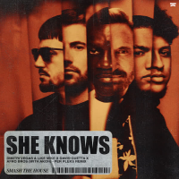 She Knows (with Akon) (Per Pleks Remix) (EP)