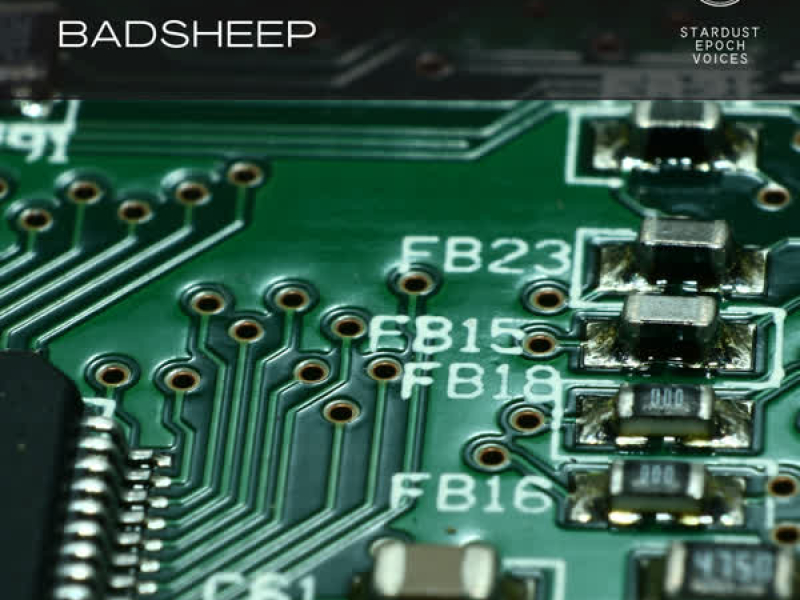 Bad Machine (Single)