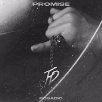 Promise (Single)