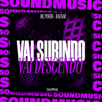 VAI SUBINDO VAI DESCENDO (Single)