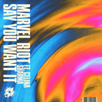 Say You Want It (Single)