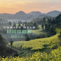 轻风寄相思 (Single)