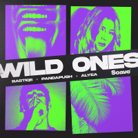 Wild Ones (Single)