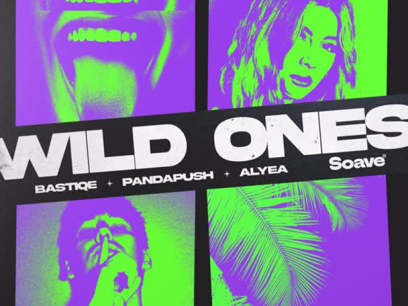 Wild Ones (Single)