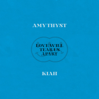 Love Will Tear Us Apart (Single)