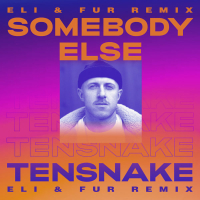 Somebody Else (Eli & Fur Remix) (Single)